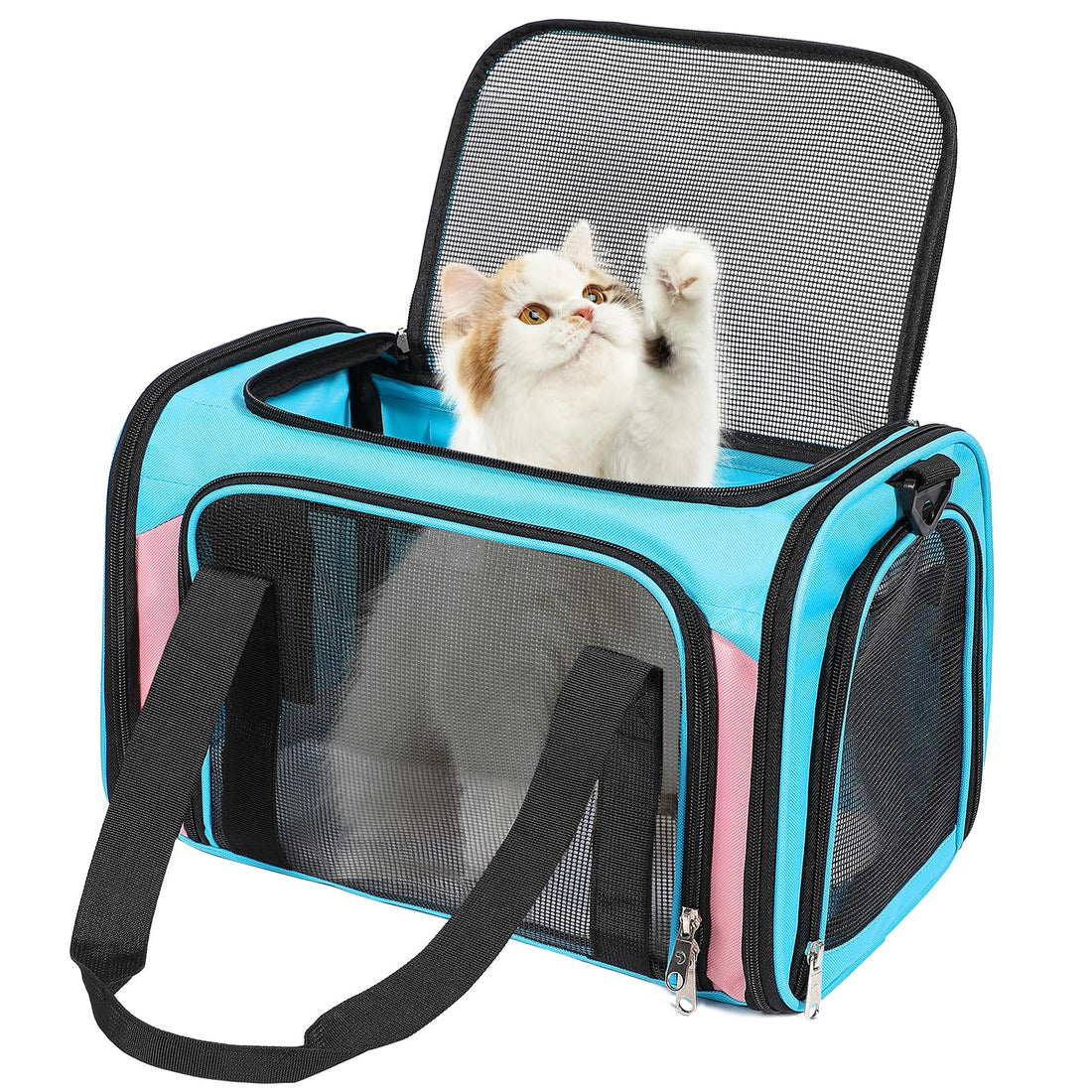 Discala Airline-Approved Soft Pet Carrier | Collapsible | Up to 15 lbs | Blue & Pink | 17"×11"×11"